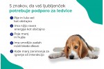 Pupex Kidney Support | Za pse in mačke